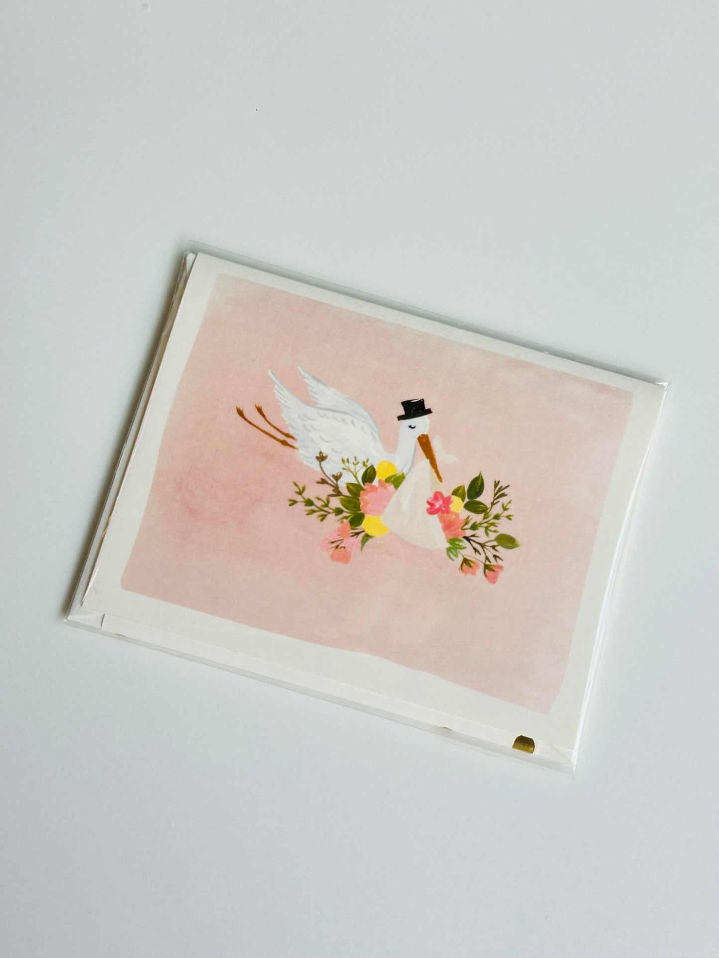 Baby Stork Blush Greeting Card